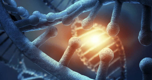 The Holistic Sanctuary Provides Stem Cell Treatment for Lyme Disease