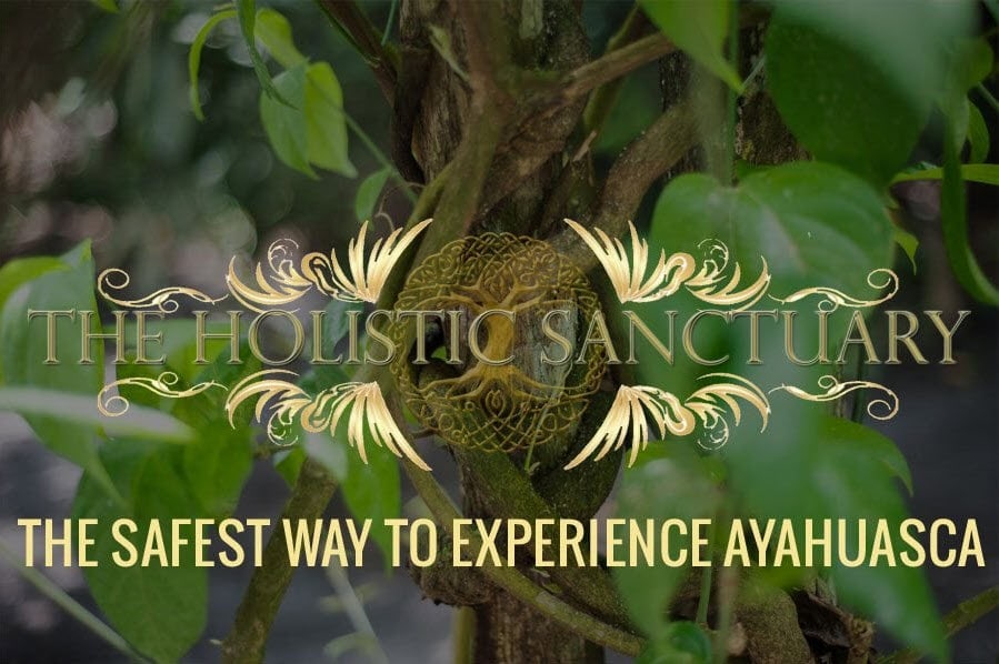 safest way to experience ayahuasca